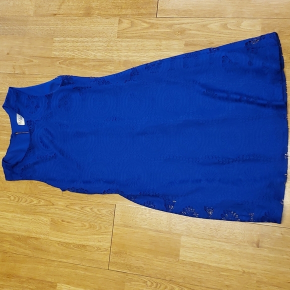 Eliza J royal blue medallion lace sleeveless dress sz 0